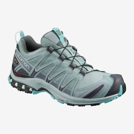 Salomon XA PRO 3D GTX W Wanderschuhe Damen Türkis [8ZHB-T]